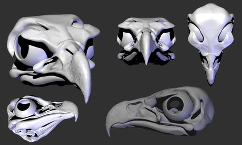 Angel Concept, Skull Study, Eagle Skull, Wedge Tailed Eagle, Skull Reference, Bird Skull, Badass Tattoos, Big Bird, Zbrush