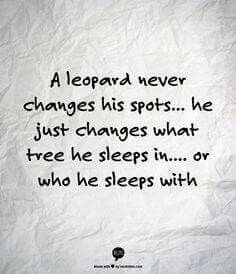 A leopard never changes his spots... Leopard Doesnt Change Its Spots Quotes, Leopard Quotes, Shots Fired, Truth Hurts, Leopards, Toxic Relationships, A Quote, Lessons Learned, Great Quotes