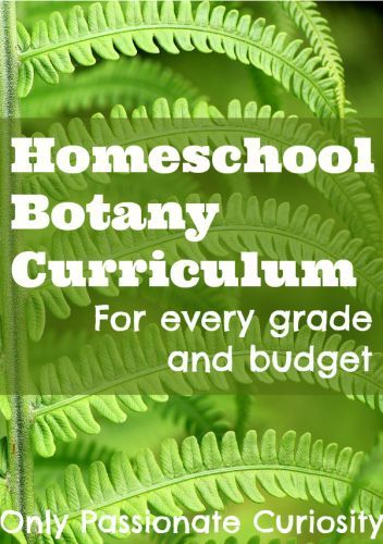 Botany Lessons High School, Botany Unit Study, Homeschool Botany, Pagan Homeschooling, Homeschool Science Curriculum, Nature School, Homeschool Education, Unit Studies, Homeschool Life