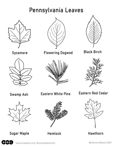 Pennsylvania Leaves Handout | Art Sphere Inc. Pennsylvania Tattoo Ideas, Pennsylvania Tattoo, B Tattoo, Happy Earth, Tree Tattoo, Tree Leaves, Body Mods, Lotus Flower Tattoo, Simple Tattoos