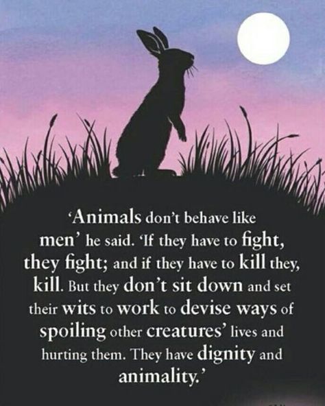 Twitter Watership Down Quotes, Watership Down Book, Down Quotes, Watership Down, Writing Motivation, The Darkest Minds, Golden Tan, Nature Quotes, Quotes For Kids