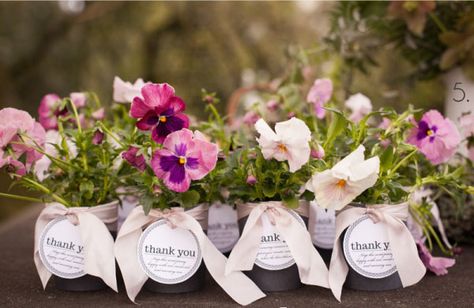 Say thank you to your wedding guests with potted plants Wedding Favours Plant Wedding Favors, Reception Seating Chart, Spring Wedding Favors, Elegant Wedding Favors, Indian Wedding Planning, Garden Birthday, Eco Friendly Wedding, Tea Party Garden, Watercolor Wedding Invitations