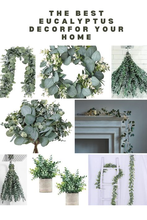 Eucalyptus can be an excellent choice for home decor due to its versatility, aesthetic appeal, and aromatic qualities. Here are several ways you can incorporate eucalyptus into your home decor #homedecoration#homedecor#eucalyptushomedecor Eucalyptus Decor, Vase With Branches, Faux Branches, Greenery Decor, Fresh Eucalyptus, Dried Eucalyptus, Faux Leaf, Eucalyptus Garland, Home Porch