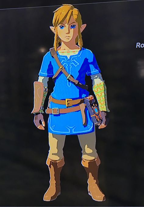 Zelda Outfits, Botw Champions, Zelda Link Cosplay, Link Botw, Legend Of Zelda Link, Link Cosplay, Art Outfits, Link Art, Breath Of The Wild