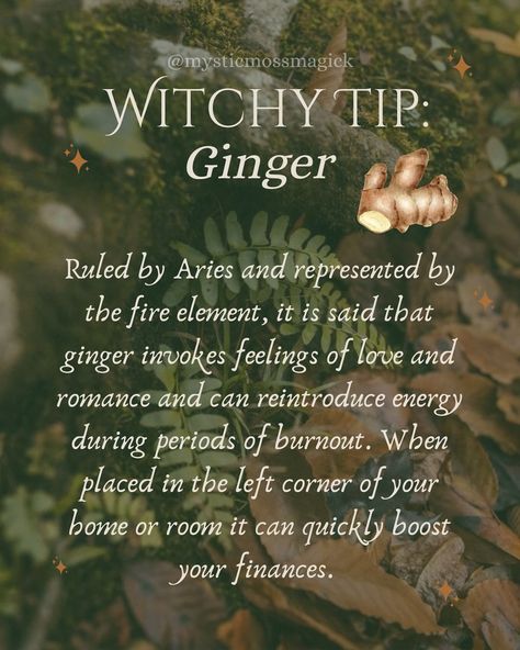 Ginger is ruled by Aries and the fire element 🔥 and is used for passion, new love, lust, romance, relationships, burnout, prosperity, energy, and amplifies any spells or mojo bags. Imagine using this with lemon peel to get any spells working IMMEDIATELY! It’s also great for invoking physical strength and courage. 🌿✨ Want to learn more about herbs and autumn Magick? Head to the link in my bio to get access to newsletters packed with more information like this! 🌙 . . . #herbmagick #herbs #gree... Holistic Witch, Fire Spells, Lust Spell, Cinnamon Broom, Witchcraft Spells For Beginners, Witch Tips, Magickal Herbs, Witchy Tips, Green Witchcraft