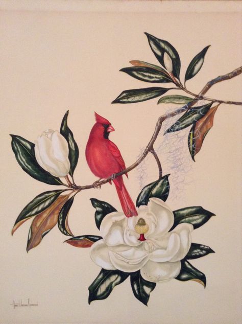 Cardinal on Magnolia circa 1950s Cardinal Aesthetic Wallpaper, Cardinal And Magnolia Tattoo, Cardinal Illustration, Red Cardinal Tattoos, 2024 Tattoo, Cardinal Tattoo, Cardinal Tattoos, Magnolia Tattoo, Magnolia Branch