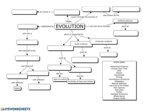 Evolution Concept Map, Evolution Activities, Persuasive Writing Prompts, Biology Worksheet, Biology Classroom, Map Worksheets, High School Biology, Theory Of Evolution, Biology Lessons