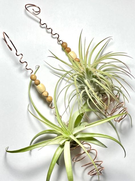 Wire Wrapped Beaded Hanging Air Plant Holders Set of 2 Hangers Only - Etsy Rock Air Plant Holder, Hanging Air Plant Display Ideas, Air Plants Diy Display, Air Plant Display Ideas, Air Plant Ornament, Air Plant Art, Air Plants Diy, Air Plants Decor, Plant Display Ideas