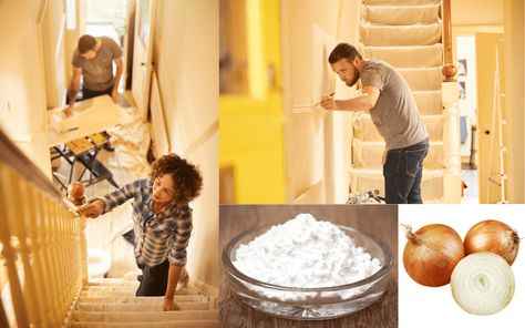 Oil-based paints can leave a lingering smell such as gloss, satinwood or eggshell. These fumes can be overpowering for a few days after painting. In this how-to guide, we are revealing ways to reduce the smell of gloss and other oil-based paints from taking over your home. There are many techniques and ideas we have […] The post How Can I Get Rid Of The Smell Of Paint In My House? appeared first on Wezaggle. Paint Smell, Paint Your House, Gloss Paint, How To Make Paint, Diy House Projects, Open Window, Paint Cans, Spray Paint, Spray