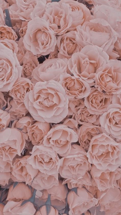 Rose Gold Esthetics, Pink And Gold Wallpaper Iphone, Gold Esthetics, Gold Wallpaper Aesthetic, Wallpaper Aesthetic Pastel, Pink And Gold Wallpaper, Pink Academia, Gold Wallpaper Iphone, Rose Gold Theme