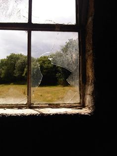 Fairy Wrens, Agggtm Series, Brontë Sisters, Emily Brontë, Broken Window, Hogwarts Aesthetic, Emily Bronte, Wuthering Heights, Shattered Glass