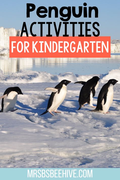 Penguin Activities For Kindergarten, Penguins Kindergarten, Penguin Math, Word Family Sort, Penguin Facts, All About Penguins, Penguin Activities, Activities For The Classroom, January Activities