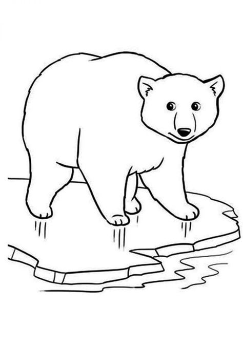 Free & Easy To Print Bear Coloring Pages - Tulamama Polar Bear Coloring Page, Polar Bear Color, Polar Express Theme, Polar Bear On Ice, Polar Bear Drawing, Baby Bear Cub, Polar Bear Craft, Train Coloring Pages, Baby Polar Bears