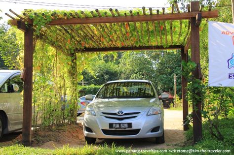 Wooden Carports, Garden Gates And Fencing, Pergola Carport, Riverside House, Pulau Pinang, Pergola Garden, Hillside Landscaping, Garden Arches, Garden Design Layout