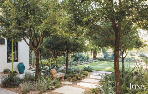 Irregular stone pavers lead to a small sunken lawn designed to hold water overflow from heavy rains. The Cantera stone bench from Oaxaca, Mexico, is surrounded by aloe and agaves. Spanish Landscaping, Colonial Landscaping, Spanish Backyard, Tudor Garden, Phoenix Garden, Spanish Colonial Homes, Landscaping Layout, Large Backyard Landscaping, Garden Layouts