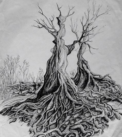 Winding Tree roots, pen drawing. Wendy Raynsford Roots Drawing, Drawing Trees, Landscape Pencil Drawings, Juniper Tree, Tree Tattoos, Tree Drawings Pencil, Twisted Tree, Tree Tattoo Designs, Family Tattoo