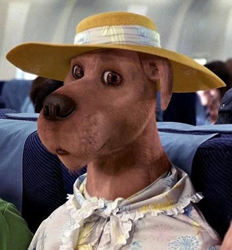 Daphne From Scooby Doo, Scooby Doo Dog, Scooby Doo Pictures, Scooby Doo Movie, Scooby Doo Images, Scooby Doo Mystery Incorporated, Scrappy Doo, Scooby Doo Mystery, I Love Cinema