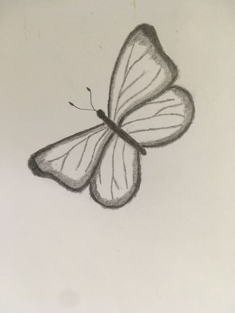 Beautiful Butterflies Drawing, Mini Drawings Butterfly, Easy Scetch Drawings Aesthetic, Small Butterfly Sketch, Butterfly Drawings Simple, Flowers Aesthetic Drawing Easy, Easy Butterfly Drawing Simple, Butterfly Sketch Simple, Easy Scetch Drawings