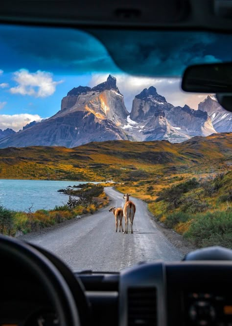 The magic that is Patagonia and the best places to visit in Patagonia! Patagonia South America, Patagonia Mountains, Patagonia Travel, Punta Arenas, Patagonia Argentina, Argentina Travel, Bucket Lists, South America Travel, Best Places To Visit