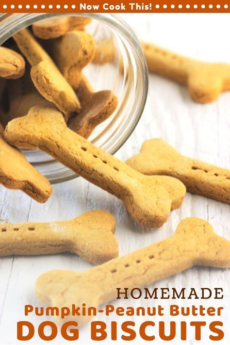 These easy Homemade Pumpkin Peanut Butter Dog Biscuits are made with just 4 simple ingredients, and dogs love them! Doesn't your best buddy deserve dog treats with no mystery ingredients? Even you could eat them! Plus, they're made with brown rice flour, so there's no wheat. Get the recipe and give them a try! Brown Rice Flour Dog Treats, No Flour Dog Treats, Rice Flour Dog Treats, Baby Treats, No Bake Dog Treats, Peanut Butter Dog Biscuits, Pumpkin Peanut Butter, Easy Dog Treat Recipes, Pet Nutrition