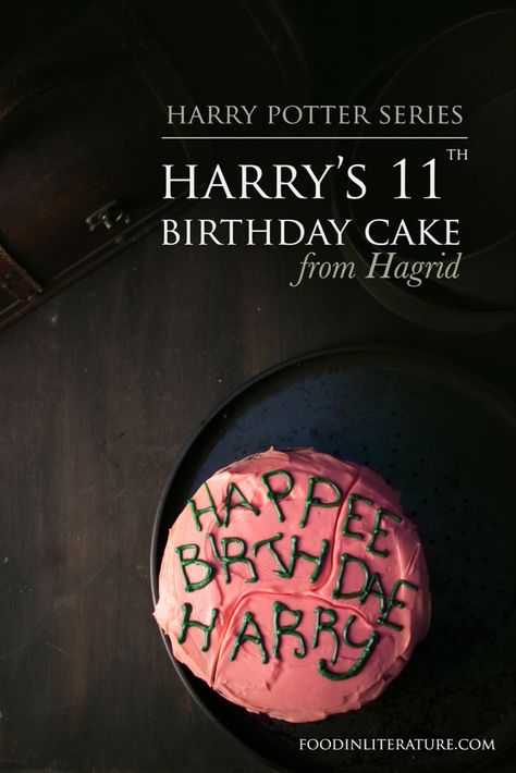 Sticky Chocolate Cake, Hagrid Cake, Gateau Harry Potter, Harry Potter Bday, Harry Birthday, Harry Potter Food, Festa Harry Potter, Harry Potter Kids, Anniversaire Harry Potter