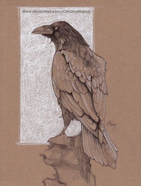 Crow study by ChristinaMandy Crow Artwork, Crows Artwork, Crows Drawing, Drawing Study, Raven Bird, Crow Art, Raven Art, New Retro Wave, A Crow