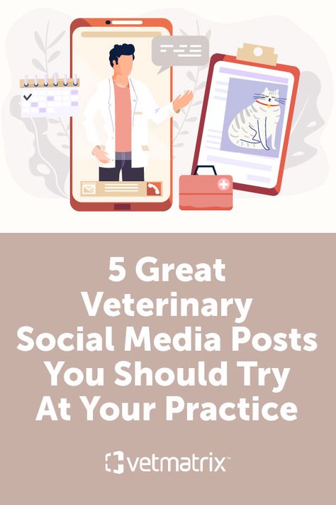 Veterinary Social Media Post Ideas, Veterinary Social Media Posts, Vet Clinic Social Media Posts, Vet Social Media, Vet Clinic Ideas, Veterinary Social Media, Vet Life, Veterinary Day, Pet Hospital