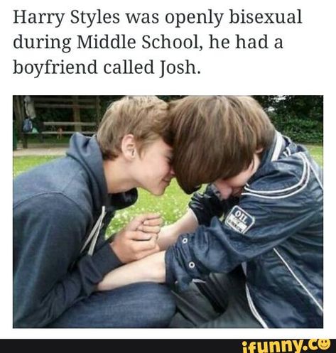 Found on iFunny Four One Direction, Larry Shippers, Tumblr Pics, One Direction Humor, Louis And Harry, 1d And 5sos, I Love One Direction, Harry Edward Styles, Gay Love