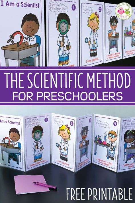 Use this free Scientific Method for Kids printable in your STEM or science center to show your young children that they are scientists. The printables are perfect for your preschool, pre-k, or kindergarten classroom....and they are easy to use Encourage kids to observe, question, make predictions, conduct experiments, record and share their findings. Use on a bulletin board, bind it and create a book, or tape the pages together to make an accordion book or display. #STEM #preschoolscience Large Group Science Activities Preschool, Science Shelf Ideas, Preschool Scientific Method, Scientific Method For Preschoolers, Reggio Science Activities Preschool, Science Discovery Preschool, Preschool Science Posters, Scientist Preschool Activities, Kindergarten Science Classroom Decor