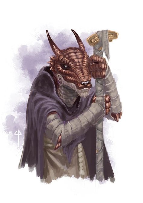 Dnd Kobold Sorcerer, Kobold Cleric, Kobold Sorcerer, Kobold Dnd, Sorcerer Robes, Draconic Sorcerer, Dragonborn Sorcerer, Dragonborn Dnd, Pathfinder Character