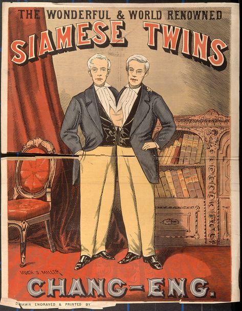 Old Circus Posters, Circus Graphics, Cirque Vintage, Siamese Twins, Old Circus, Circus Crafts, Human Diversity, Circus Posters, Famous Twins