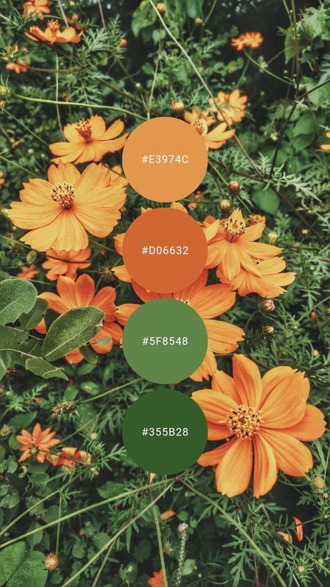 Green Orange Aesthetic Bedroom, Sage Green And Orange Aesthetic, Color Palette Mexico, Green Yellow Orange Color Palette, Colors That Go With Dark Green, Bold Color Palette Brand Identity, Orange And Green Aesthetic, Yellow And Green Color Palette, Orange Green Wedding