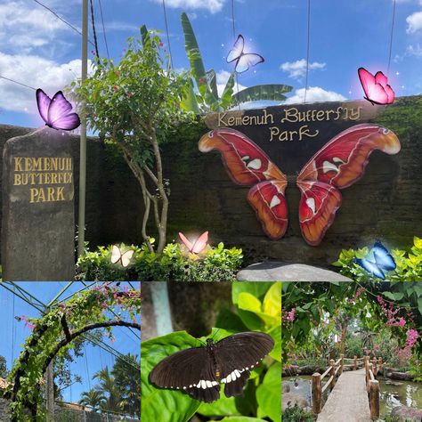 Kemenuh Butterfly Park 🦋 Seoul Attractions, Finns Beach Club, San Francisco Attractions, Los Angeles Attractions, Chicago Attractions, Butterfly Park, Tivoli Gardens, London Attractions, Cultural Centre