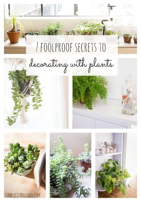 How To Decorate House With Plants, How To Decorate With House Plants, Styling House Plants, Where To Put Plants In House, Decorating With Live Plants, Decorating With Pothos Plants, Indoor Plant Arrangement Ideas, Where To Place Plants In Your Home, Adding Plants To Your Home Decor