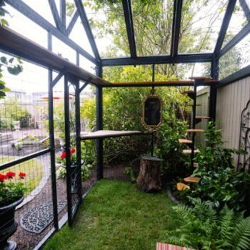 Catios & Cat Enclosures - Purrfect Love Cat Structures, Plant Sunroom, Katt Grejer, Balkon Decor, Cat Patio, Outdoor Cat Enclosure, Cat Run, Cat House Diy, Cat Sanctuary