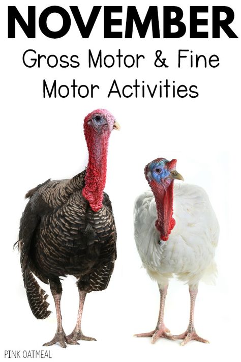 November Gross Motor and Fine Motor Activity Planning | Pink Oatmeal Thanksgiving Fine Motor Preschool, Thanksgiving Gross Motor Activities, Thanksgiving Gross Motor, Fine Motor Crafts, Pediatric Physical Therapy Activities, Pink Oatmeal, Turkey Theme, Turkey Activity, Infant Lesson Plan