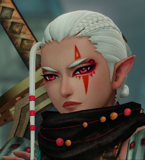 Legend Of Zelda Inspired Makeup, Legend Of Zelda Makeup, Legend Of Zelda Impa, Hyrule Warriors Impa, Sheikah Oc, Impa Hyrule Warriors, Zelda Screenshots, Zelda Hyrule Warriors, Legend Of Zelda Characters