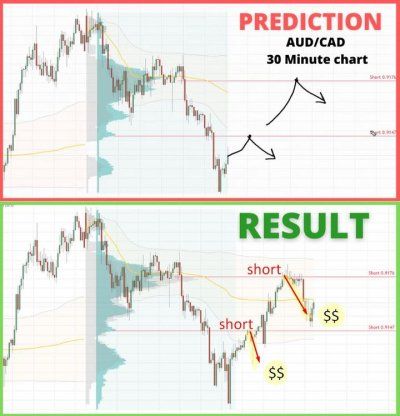 Volume Profile Trading, Trading Notes, Volume Profile, Stock Market Graph, Gold Trading, Stock Market Basics, Stock Chart Patterns, Online Stock Trading, Forex Trader