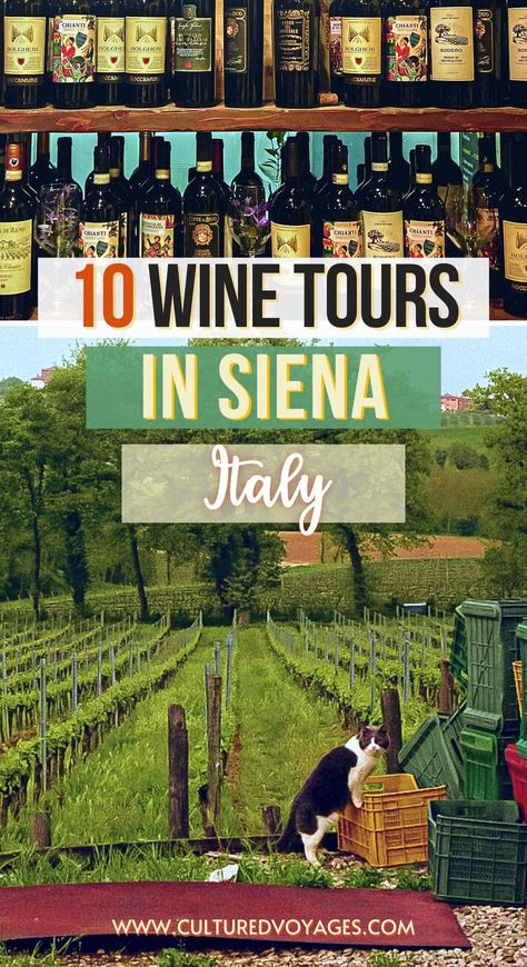 Experience the essence of Siena's wineries with our curated wine tours from Siena. Discover the best wineries, indulge in Siena wine tasting tours and savor the flavors of Tuscany. Join Cultured Voyages for an unforgettable Siena wine tour, exploring the richness of Siena's wine culture. Indulge in the best Siena wine tasting experiences. Plan your journey and elevate your wine experience in Siena, Tuscany, Italy. Cheers to extraordinary moments with the best Siena wine tour and tasting! Tuscany Wine Tour, Siena Tuscany, Tuscany Wine, Wine Experience, Wine Map, Wine Tasting Experience, Siena Italy, Let The Adventure Begin, Winery Tours