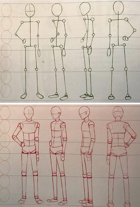 Sketching Anatomy Human Figures, Basic Anotamy Drawing, Teen Body Anatomy Drawing, Human Anatomy Simplified, Human Anatomy Stick Figures, Classic Figure Drawing, How To Draw Human Anatomy Step By Step, Drawing People Beginner, Human Figure Tutorial