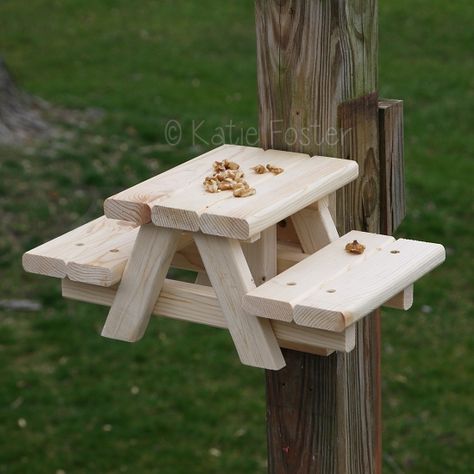 Squirrel Tables, Squirrel Furniture, Squirrel Table, Squirrel Feeder Diy, Picnic Table Woodworking Plans, Squirrel Picnic Table, Cornhole Lights, Kevin Mitchell, Build A Picnic Table