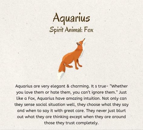 Aquarius Spirit Animal, Aquarius Animal, February Magick, Full Moon Spells, Moon Spells, Aquarius Life, Writing Inspiration Tips, Spiritual Animal, Aquarius Quotes