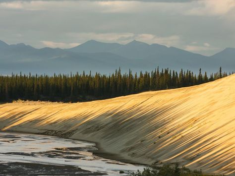 Kobuk Valley National Park Pictures Of Summer, Kobuk Valley National Park, Alaska National Parks, Dry Tortugas National Park, Katmai National Park, Dry Tortugas, Nat Geo, Park Ranger, Best Pictures