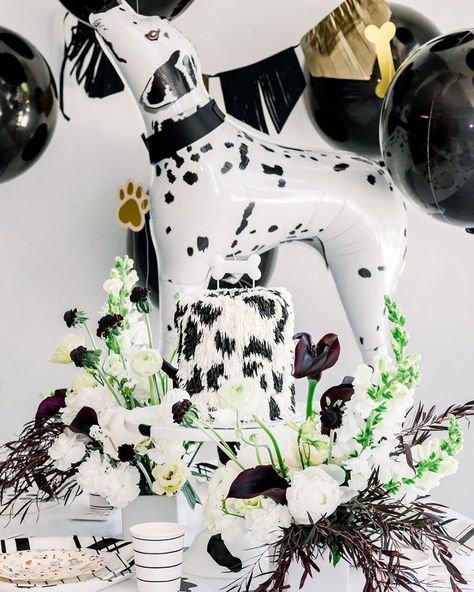 Ashley Ferder (@ashley_ferder) • Instagram photos and videos Cruella Party, Cruella Movie, Puppy Party Theme, Dalmatian Party, Cruella Deville, Dalmatian Puppy, In And Out Movie, Puppy Party, Party Girl