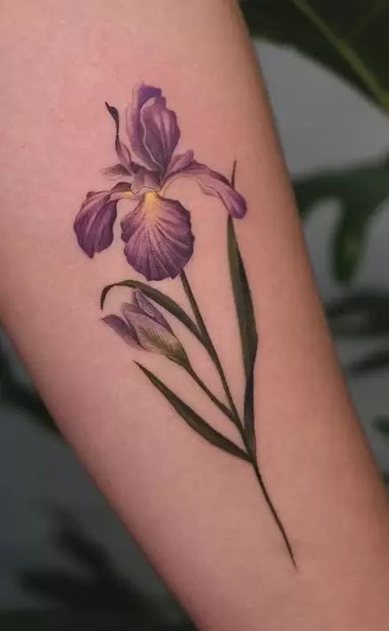 Purple Iris Tattoo, Iris Flower Tattoo, Beachy Tattoos, David Tattoo, Iris Tattoo, Ankle Tattoo Designs, Tatoo Inspiration, Lavender Tattoo, Tasteful Tattoos