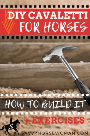 Get 4 easy DIY options to build your own horse Cavaletti at home, plus fun Cavaletti training exercises for the walk, trot and canter. Horse Cavaletti, Equestrian Hacks, Horse Groundwork, Trail Patterns, Equestrian Diy, Equestrian Tips, Horse Obstacles, Horse Trails, Horse Jumps