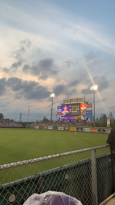 Lsu Wallpaper, Lsu Aesthetic, Lsu Campus, Alex Box, Lsu Baseball, College Goals, Geaux Tigers, Dream College, Future Jobs