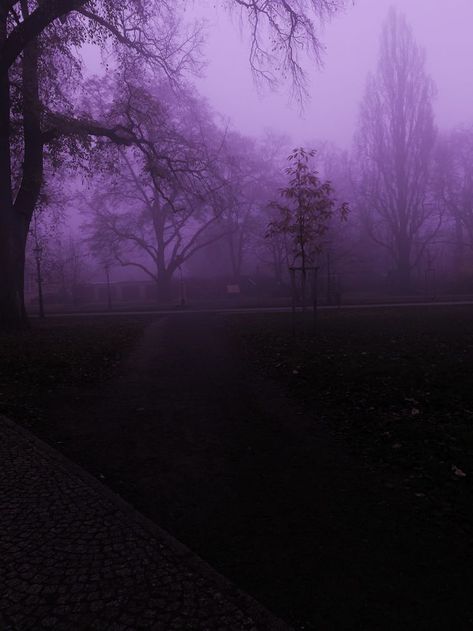 Purple Grunge Wallpaper, Purple Horror Aesthetic, Purple Nature Aesthetic, Purple Hour Aesthetic, Halloween Aesthetic Purple, Purple Hour, Purple Forest, Scary Dreams, Purple Goth