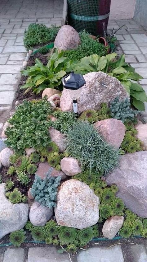 Modern Rockery Garden Ideas Uk, How To Make A Rockery Garden, Small Garden Rockery, Plants For Rocky Hillside, Rockery Plants Uk, Rockery Garden, Succulent Garden Landscape, Small Front Yard, Alpine Garden