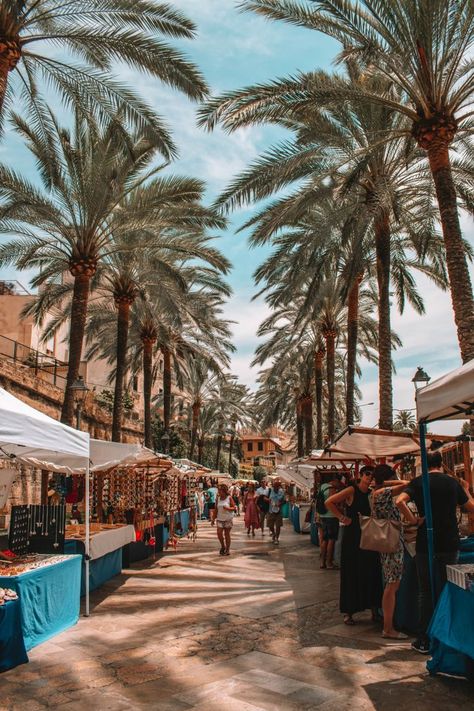 Beautiful market with palm trees in Palma, Mallorca in Spain. Best instagram spots in mallorca. #palama #instagramspots #mallorca #instagram #photography Palmanova Mallorca, Balearic Island, Deia Mallorca, Beach Hacks, Voyage Europe, Balearic Islands, Majorca, Menorca, Future Travel